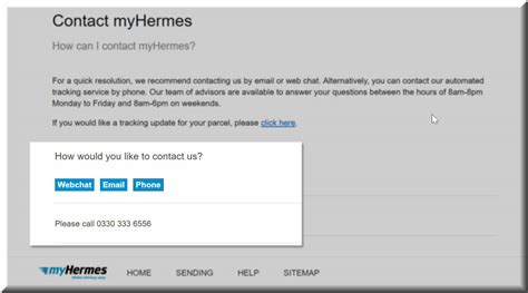 Michelle Hermes (33 matches): Phone Number, Email, Address